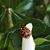 Lisa Daigle's profile image