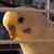 James Szymczak's profile image