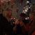 Loraine Mcwhorter's profile image
