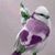 Vicki Saltenberger Stewart's profile image