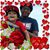 Shawana Jones Rivas's profile image