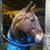 Shellie Kwitkowski's profile image
