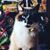 Mandy McClurg's profile image