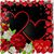 Julia Lunsford's profile image