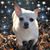 Becki Crawford Gremminger's profile image