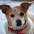 Kimberleigh Hensley's profile image