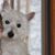 Tanya Rader's profile image