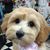 LeAnn Palm's profile image