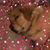 Pamela Kavlick's profile image