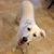Donna M. Summers's profile image