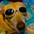Peter Kupfer's profile image
