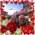 Jennifer Ford's profile image
