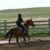 Dusty Allison's profile image