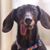 Andrea Burge Mortensen's profile image