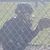 Christie Champlin Adams's profile image