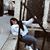 Gavi Ayer's profile image