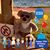 Penny Allison's profile image