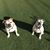 Dana DeWeese Roberts's profile image
