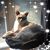 Brandy Eastwood Frederick's profile image