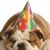 Anita Lanee Duggan's profile image