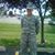 Debbie Reinbeck's profile image