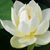 Pam Kaithern's profile image