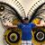 Ron Pasternak's profile image