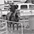 Stevie Batchelder's profile image