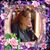 Sue Vanderford's profile image