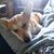 Twig Clark's profile image