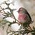 Robin Hendrixson Straley's profile image