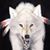 Barbara Wheeler's profile image