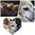 Jenn Alvarez's profile image