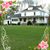 Carole Drewis's profile image