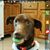 Donna Parenteau's profile image