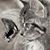 Pamela MPizza's profile image