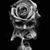Jeanie Ringgenberg's profile image