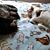 Sharon Wagner Parkes's profile image