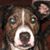 Cathy Carr-Helmuth's profile image
