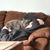 Tonya Cortright's profile image
