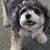 Amy Schwab's profile image