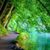 Admini Rancho Santa Fe's profile image