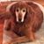 Jeannie Basil's profile image