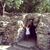 Tracy Aronson's profile image