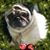 Roberta Wendelin Davis's profile image