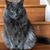 Wendy Kuntz Trexler's profile image