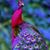 Jenn King Radtke's profile image