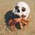 Rich Smithson's profile image