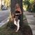 Connie H. Watjen's profile image