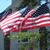 Liz Nardone's profile image